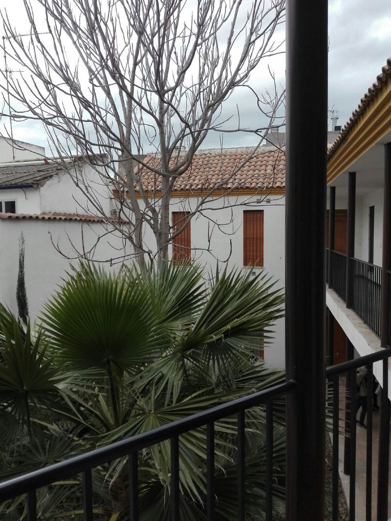 Alfonso Xii Córdoba